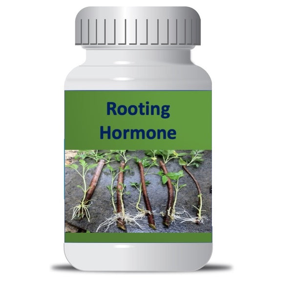 Rootex Bio Hormone Rooting Powder for Gardening