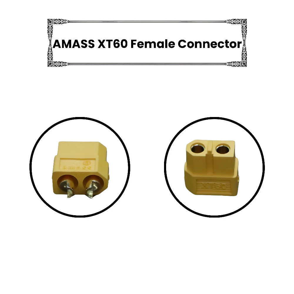 Amass XT-Series Original Male and Female Connectors Adapters