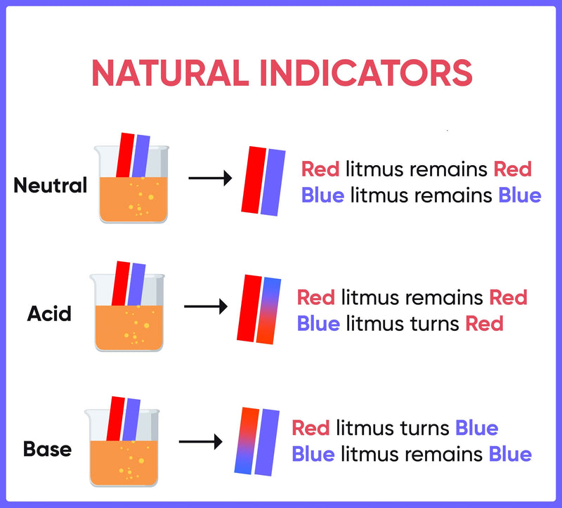 100pcs Blue Litmus Paper Acid/Base Indicator Strips