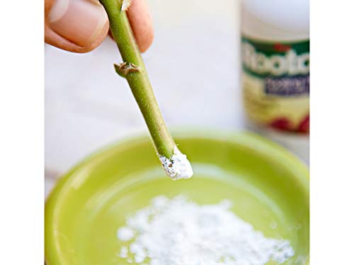 Rootex Bio Hormone Rooting Powder for Gardening