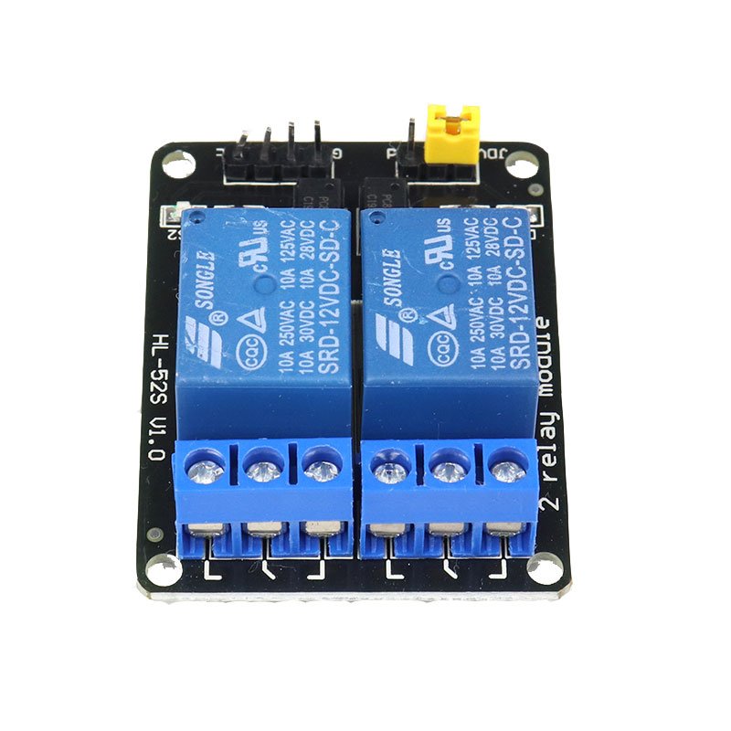 2 Channel 12V 10A Relay Module with Optocoupler