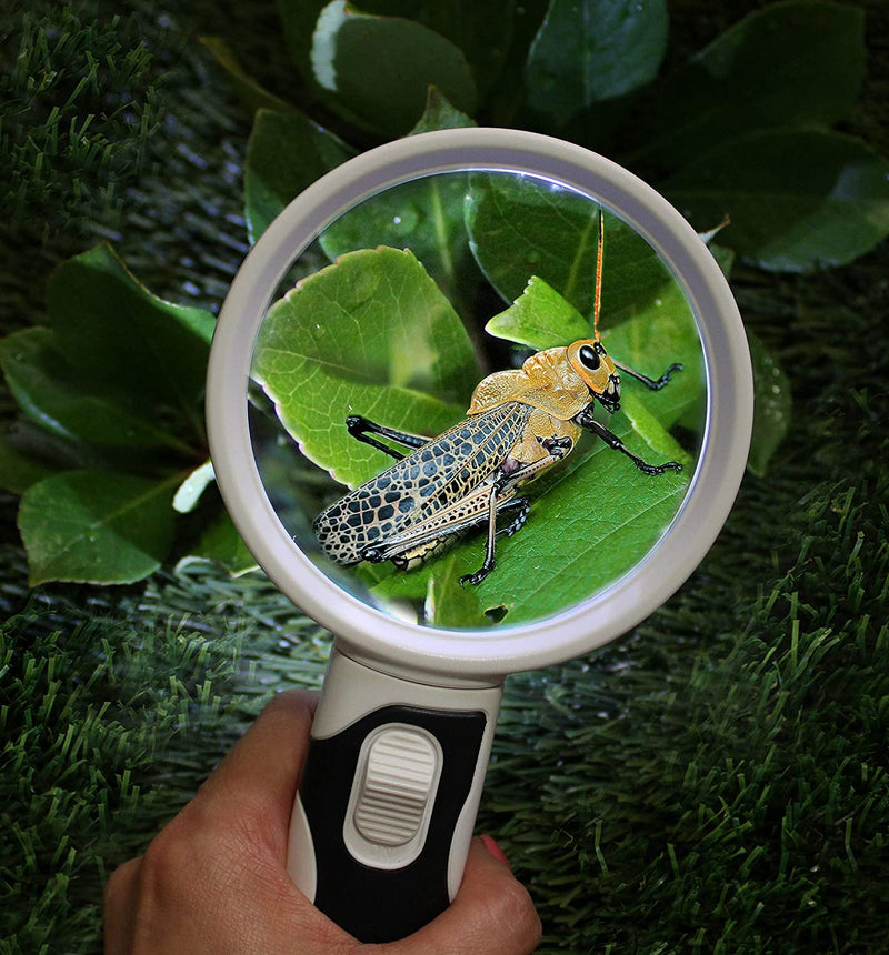 Magnifying Glass with Light - 3 Lens Set (2x + 3.5x + 10x)