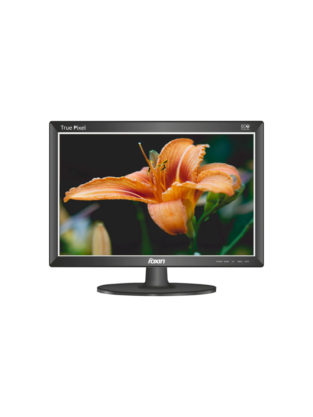 Foxin LED Monitor FM 1540 Pixel HDMI  (38.3 cm/15.1 in Screen)