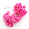 Small Pink Flower With White Tip 60 LED String Fairy Lights