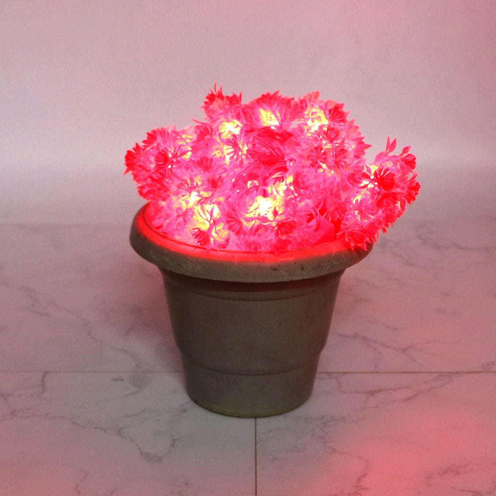 Red Flower with White Tip 24 LED String Fairy Lights