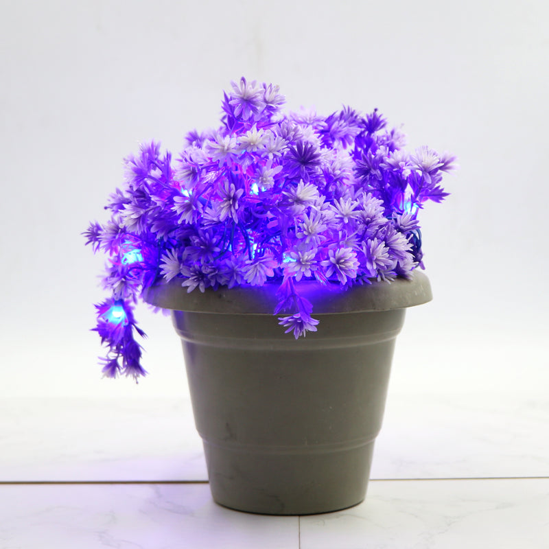 Small Purple Flower With White Tip 60 LED String Fairy Lights