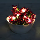 Pink Fruits Mulberry 16 LED String Fairy Lights