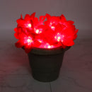 Big Red Flower 24 LED String Fairy Lights