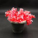 Red Leaves with White Tip 24 LED String Fairy Lights