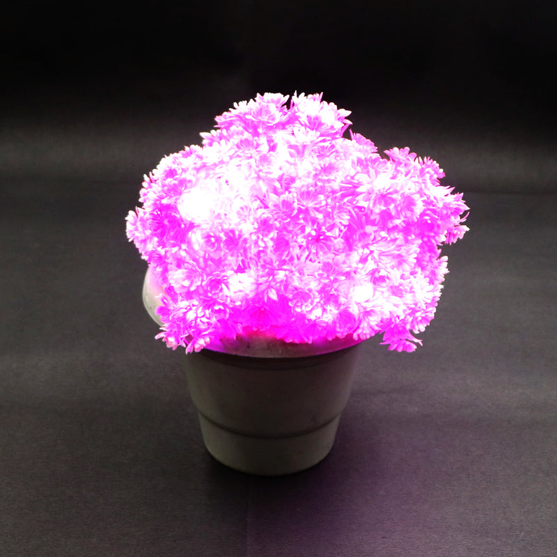 Small Pink Flower With White Tip 60 LED String Fairy Lights