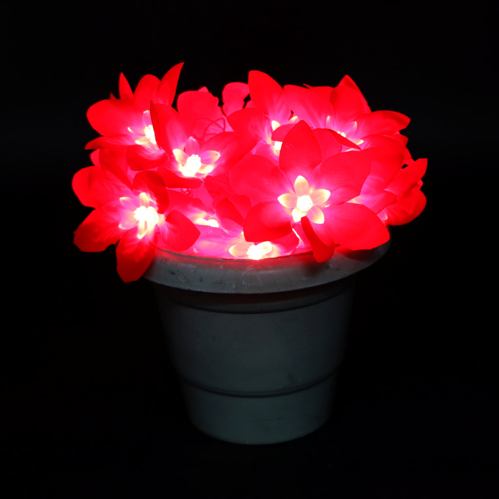 Big Red Flower 24 LED String Fairy Lights