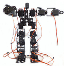 17 DOF Bipedal Humanoid Robot