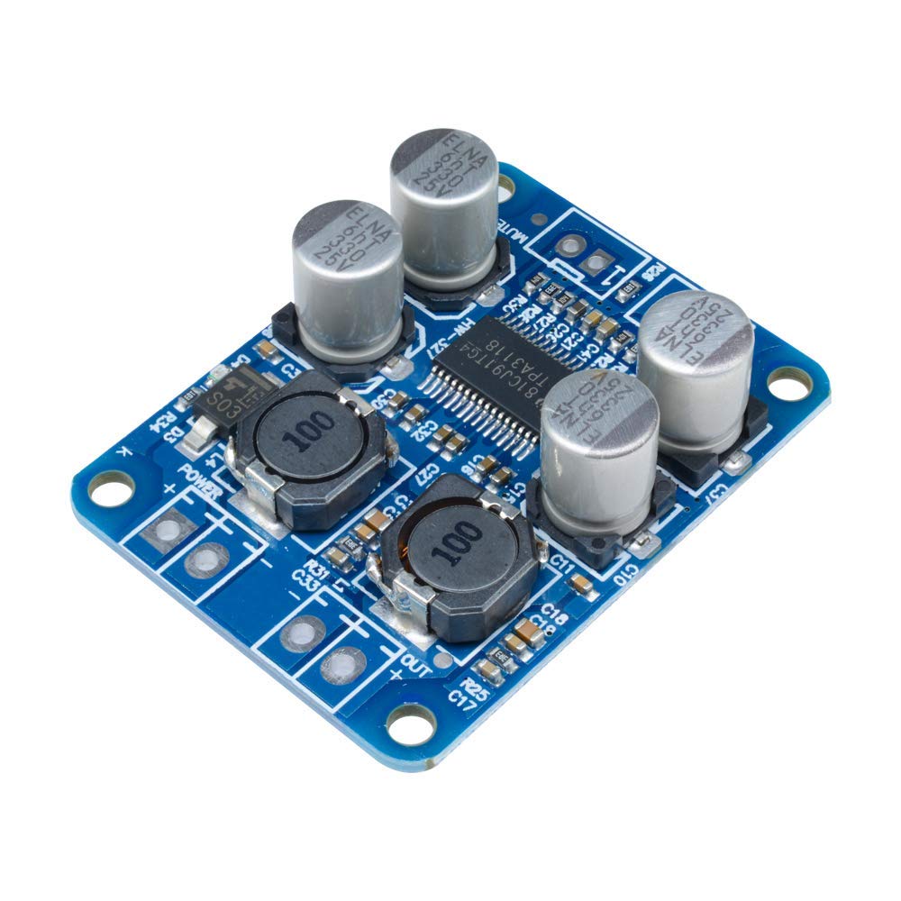 [Type 1] TPA3118 (1X60W) Mono Digital Power Amplifier Board Module