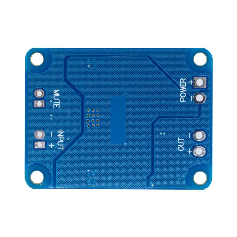 [Type 1] TPA3118 (1X60W) Mono Digital Power Amplifier Board Module