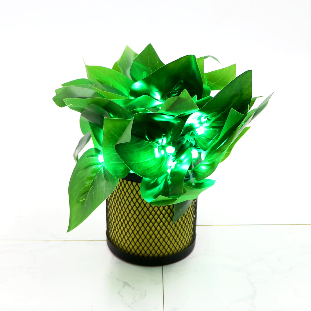Big Dark Green Leaf 38 LED String Fairy Lights