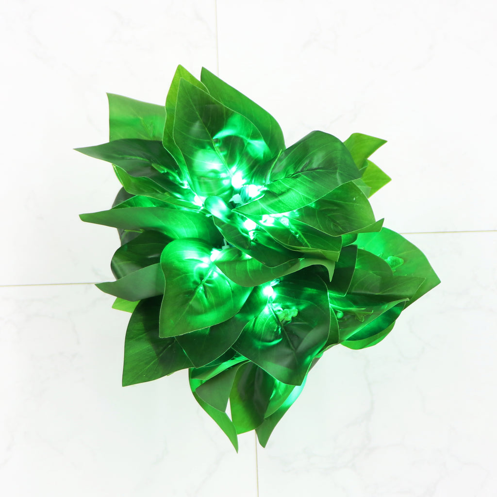Big Dark Green Leaf 38 LED String Fairy Lights