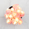 Small Lite Pink Rose 14 LED String Fairy Lights