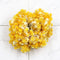 Small Yellow Flower With White Tip 60 LED String Fairy Lights