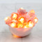 Small Lite Pink Rose 14 LED String Fairy Lights