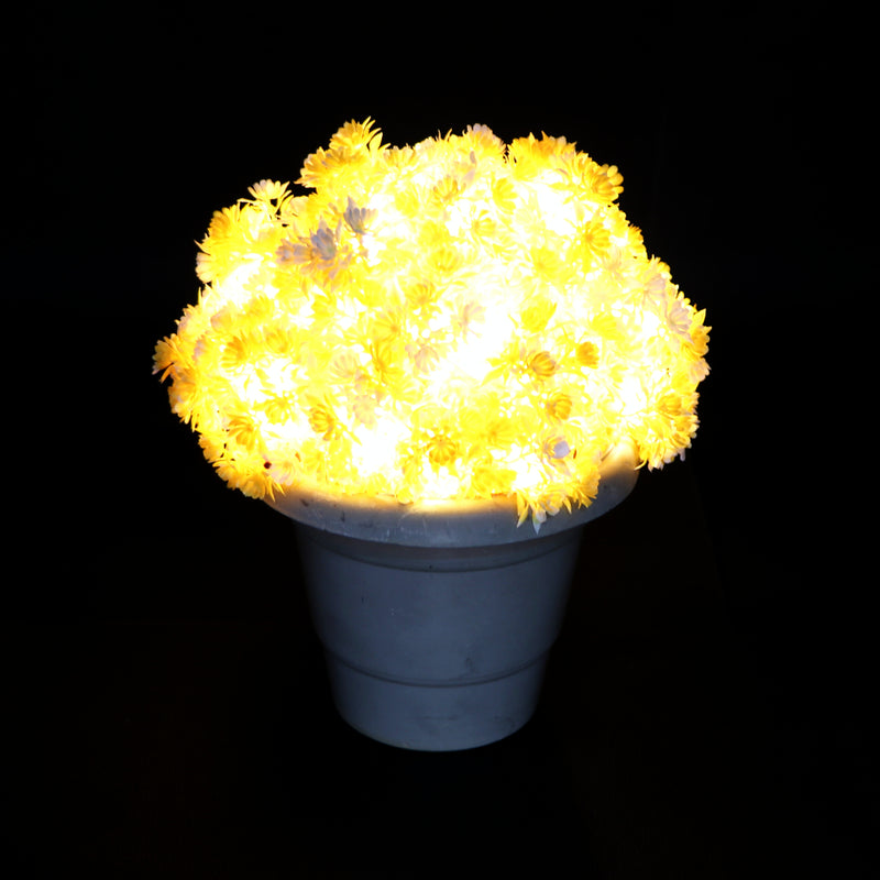 Small Yellow Flower With White Tip 60 LED String Fairy Lights