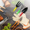 Colorful 3pcs Garden Tool Set with Plastic Handle